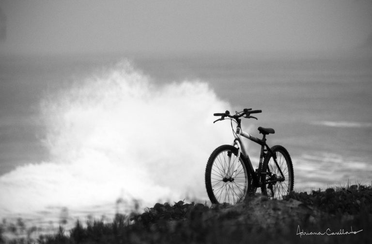 lone bike